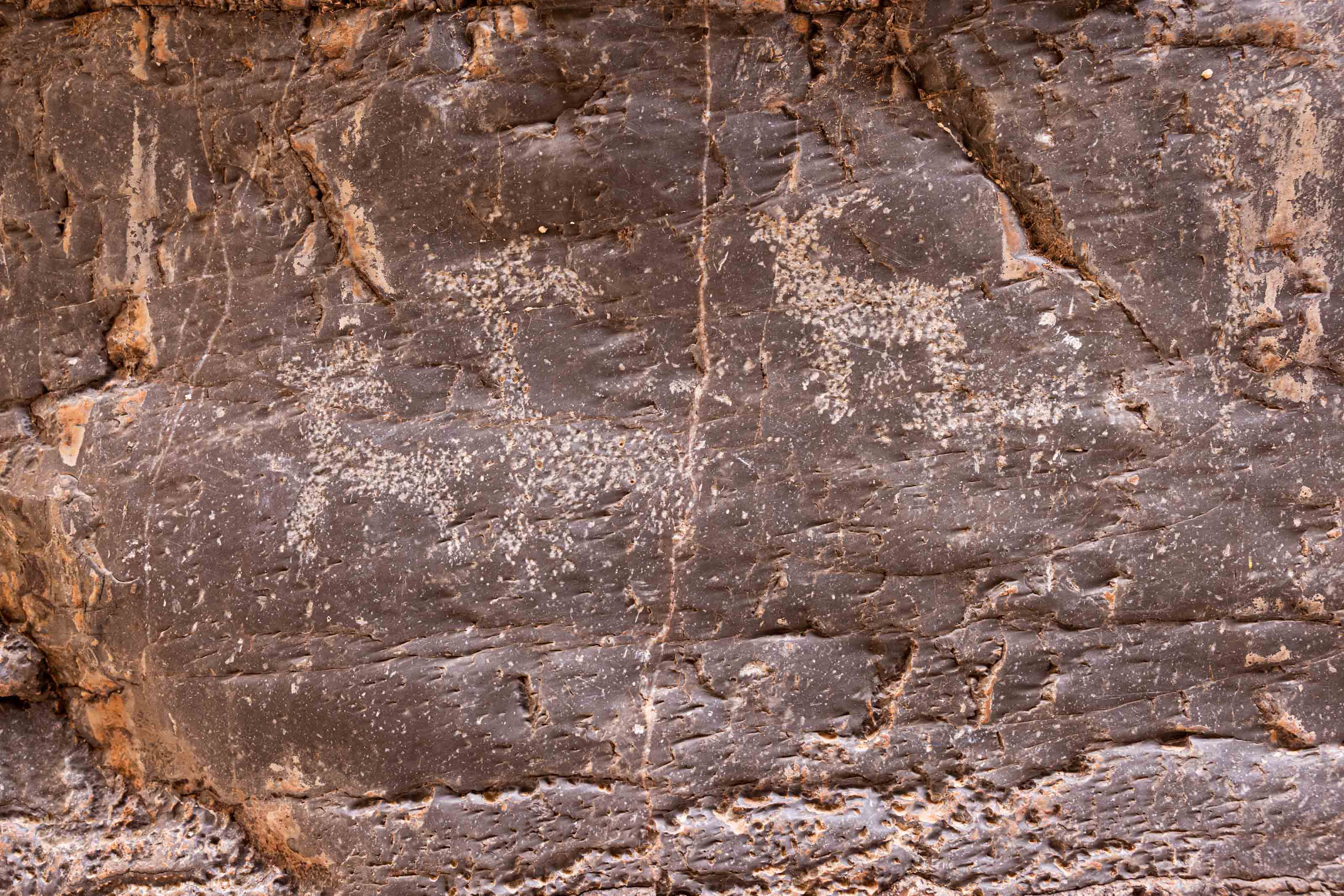 SanupPlateauArizona22